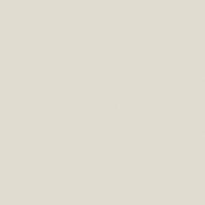 Ceviche™ - Absolute Matt Emulsion - 10 L