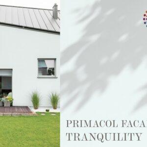 Facademaling: Tranquility, 9 liter