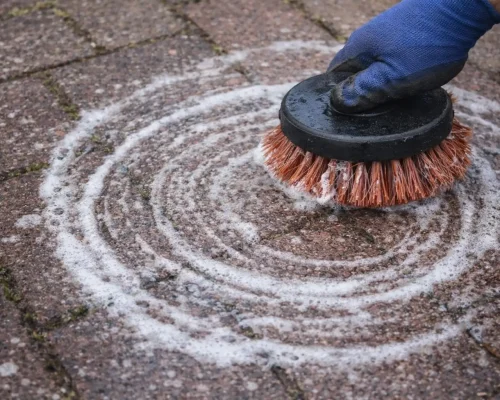 bekæmpelse af flisepest med fliserens